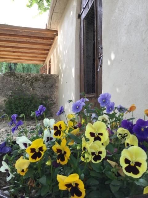 La Ferme De Marguerite * Tulette